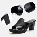 Sónia - Elegant Sandals
