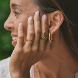 El Anillo Dorado de la Ola
